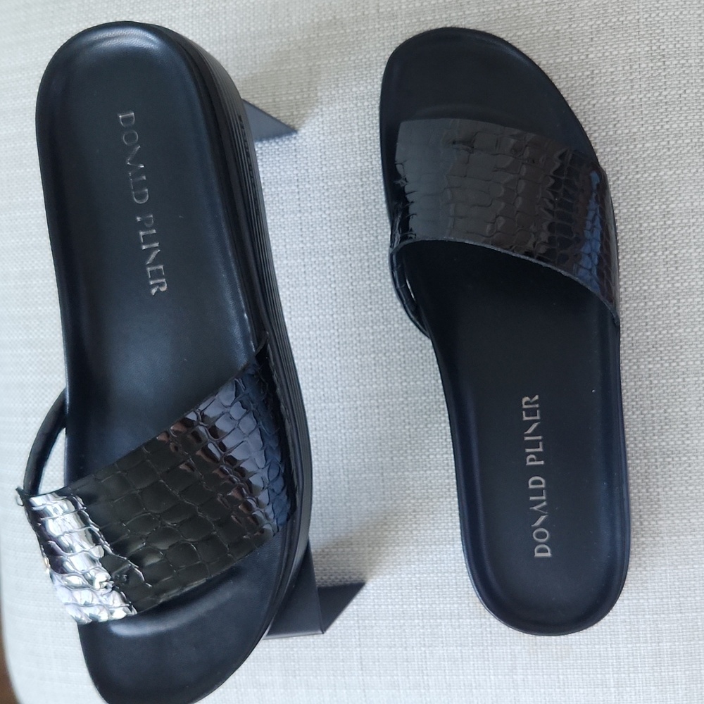 Donald Pilner black slides